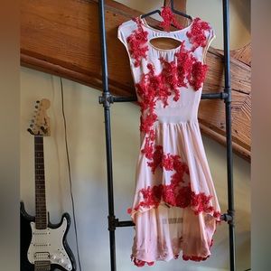 Gorgeous Dance Costume